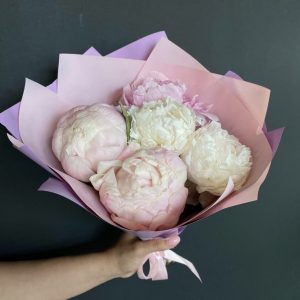 Букет из 5 бело-розовых пионов — Доставка пионов