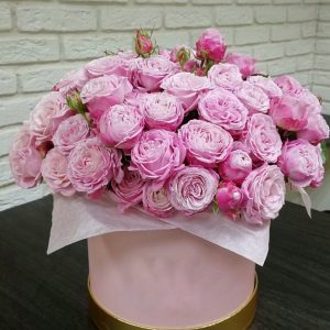 Розовые пионовидные розы в коробке — Розы