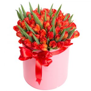 Букет из 51 красного тюльпана в коробке — Тюльпаны