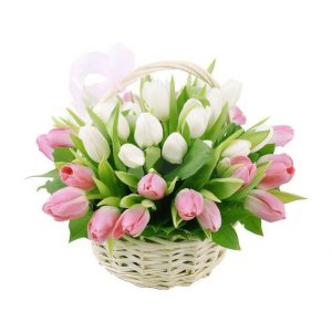 25 розовых и белых тюльпанов в корзине