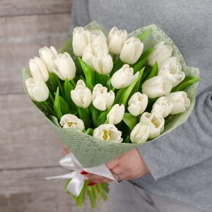 Букет из 25 белых тюльпанов — Тюльпаны