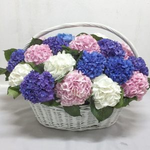 Букет из 29 гортензий Микс в корзине — Букеты цветов