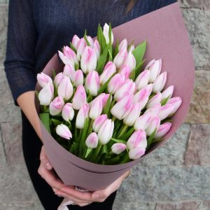 Букет из 51 бело-розового тюльпана — Тюльпаны