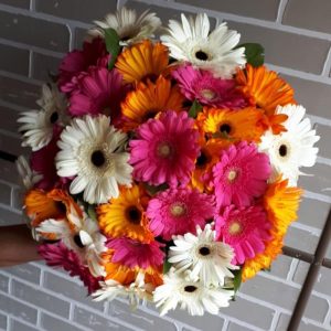 Букет из 35 гербер Микс — Букеты цветов