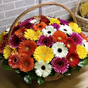 Букет из 51 яркой герберы в корзине — Букеты цветов