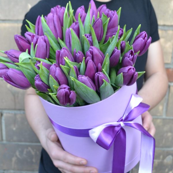 Букет из 35 фиолетовых тюльпанов в коробке