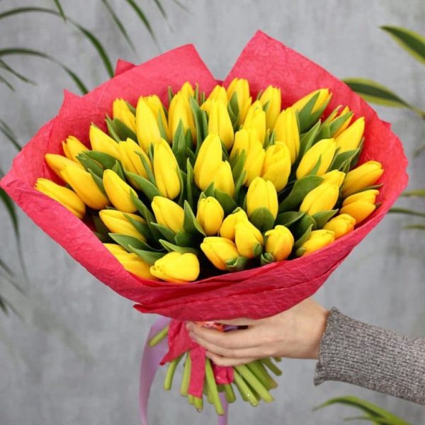 Букет из 49 желтых тюльпанов — Тюльпаны