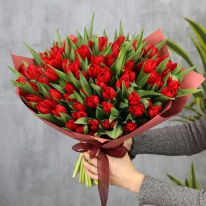 Букет из 75 бордовых тюльпанов — Тюльпаны