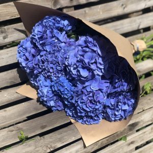 Букет из 9 синих гортензий в крафте — Букеты цветов