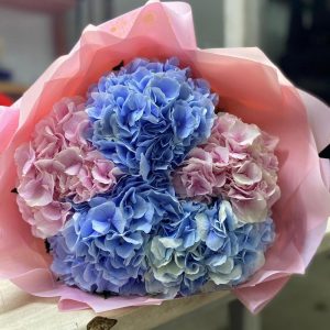 5 розовых и голубых гортензий — Букеты цветов