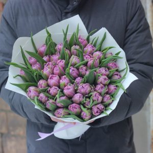 49 фиолетовых пионовидных тюльпанов — Тюльпаны