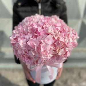 Букет из 7 розовых гортензий в коробке — Букеты цветов