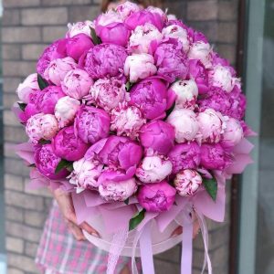 Букет из 75 розовых пионов — Доставка пионов
