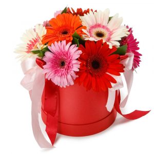 Букет с 9 герберами Микс в коробке — Букеты цветов