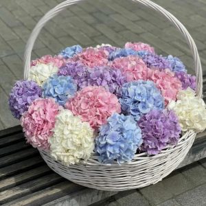 Букет из 25 гортензий Микс в корзине — Букеты цветов