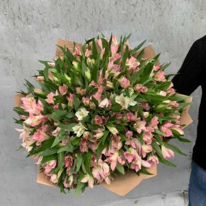 Букет из 49 розовых альстромерий — Бизнес букеты
