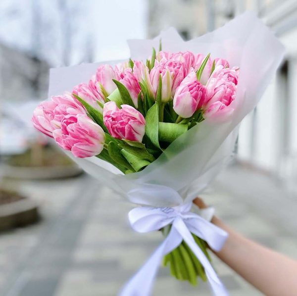 15 бело-розовых пионовидных тюльпанов — Тюльпаны