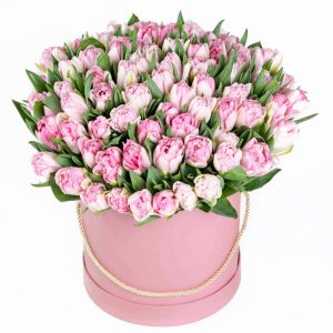 101 нежно-розовый пионовидный тюльпан в коробке — Тюльпаны