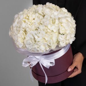 Букет из 7 белых гортензий в коробке — Букеты цветов