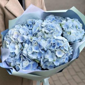 Букет с 9 голубыми гортензиями в упаковке — Букеты цветов