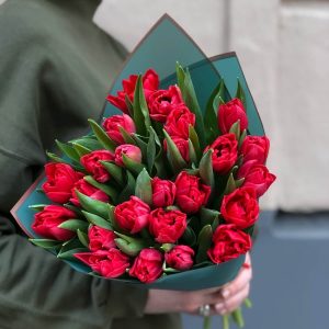 Букет из 35 бордовых тюльпанов — Тюльпаны