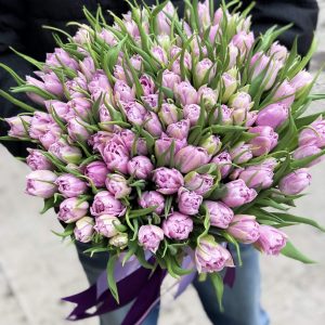 Букет из 101 сиреневого пионовидного тюльпана — Тюльпаны
