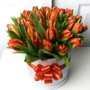 25 оранжевых пионовидных тюльпанов в коробке — Тюльпаны