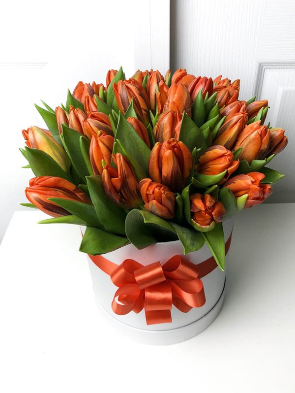 25 оранжевых пионовидных тюльпанов в коробке