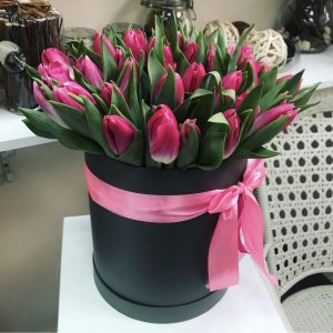 Букет из 25 малиновых тюльпанов в коробке — Тюльпаны