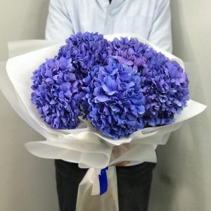 Букет из 5 фиолетовых гортензий в упаковке — Букеты цветов