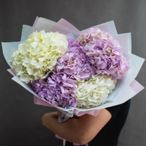 Букет из 5 фиолетовых и белых гортензий — Букеты цветов