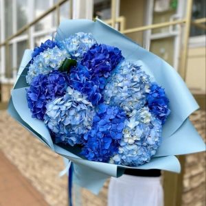 Букет из 11 голубых гортензий — Букеты цветов