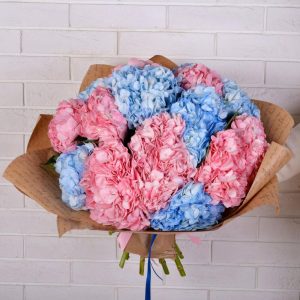 Букет из 13 розовых и голубых гортензий