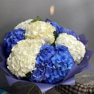 Букет из 9 белых и синих гортензий — Букеты цветов