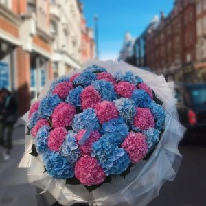 Букет из 35 розовых и голубых гортензий