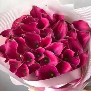 Букет из 39 розовых калл — Букеты на свидание