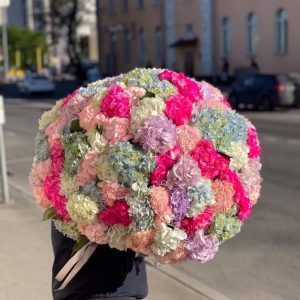 Букет из 55 ярких гортензий — Букеты цветов