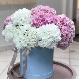 Букет из 9 бело-розовых гортензий в коробке — Букеты цветов