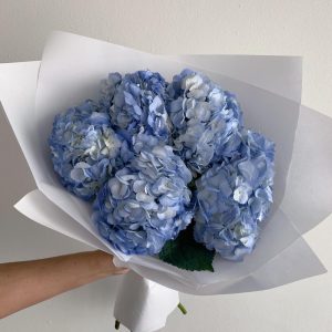 Букет из 5 голубых гортензий — Букеты цветов