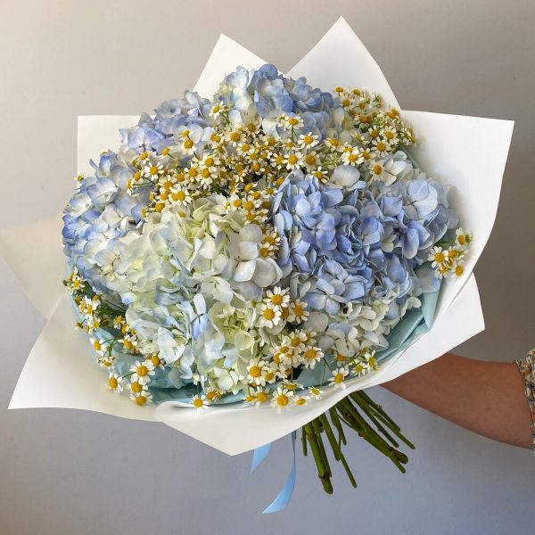 Букет из голубых гортензий и ромашек — Букеты цветов