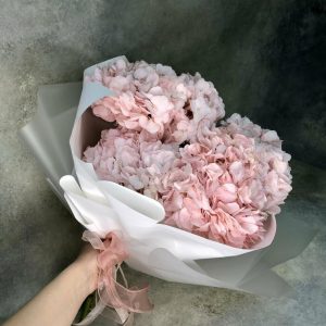 Букет из 5 розовых гортензий в упаковке — Букеты цветов