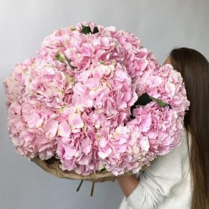 Букет из 15 розовых гортензий — Букеты цветов