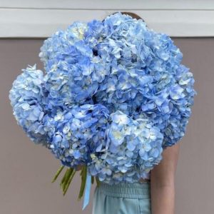 Букет из 13 голубых гортензий — Букеты цветов