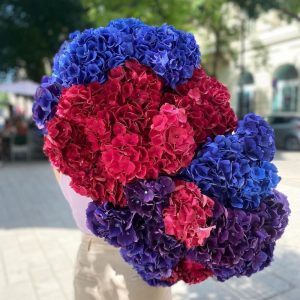 Букет из 29 ярких гортензий — Букеты цветов
