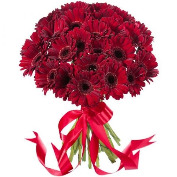 Букет из 45 красных гербер — Букеты цветов