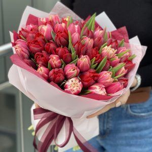 51 бело-красный пионовидный тюльпан — 60 тюльпанов