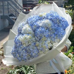 Букет из 21 голубой гортензий — Букеты цветов