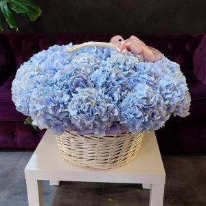 Букет из 15 голубых гортензии в корзине — Букеты цветов