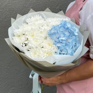 Букет из белых хризантем и голубой гортензии — Букеты цветов