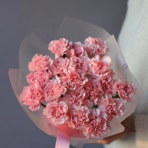 Букет из 17 розовых гвоздик